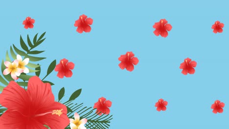 animación de flores rojas pulsando en formación sobre hojas tropicales sobre fondo azul