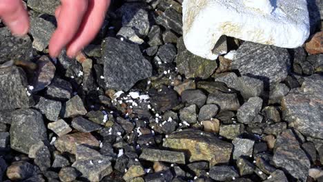 person tries to pick up small pieces of styrofoam off rocky coastline in norway