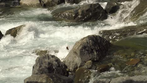 rocks in rushing river of ice-cold water, slow motion mountain stream