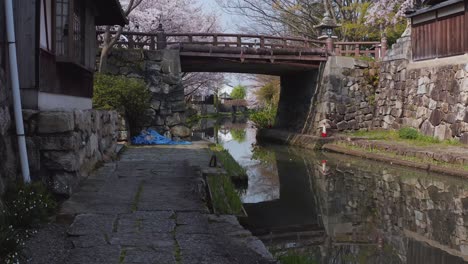 Wunderschöner-Alter-Wassergraben-In-Japan,-Der-Sich-Langsam-Nach-Oben-Neigt-Und-Frühlings-Sakura-Bäume-Freigibt