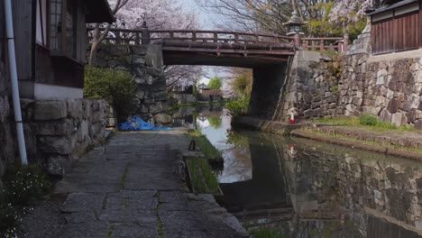 Beautiful-ancient-moat-in-Japan,-slowly-tilting-up-to-reveal-spring-Sakura-trees