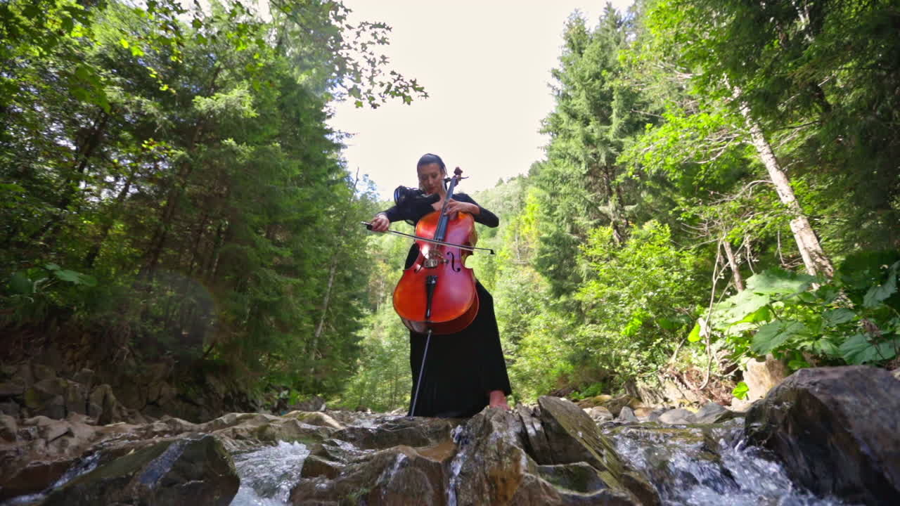 Attractive woman with cello. Female musician plays on cello against picturesque landscape
