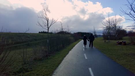 a couple holding hands walking along a road at sunset with a dog