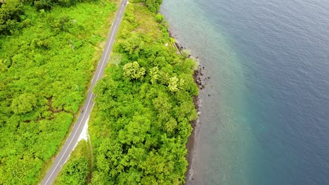 aerial drone of traffic of car and motorbikes driving along beautiful coastal road through dense green trees on tropical island of alor island, east nusa tenggara, indonesia