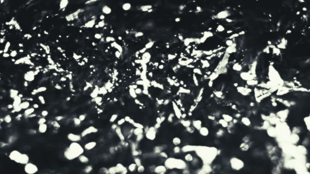 Old footage of weird science experiment - alien lifeform