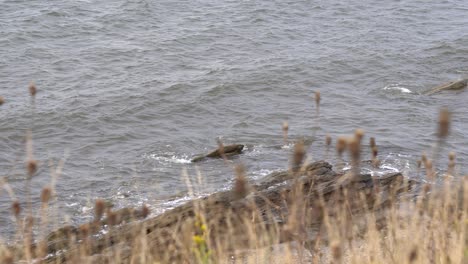 From-the-cliff-perspective,-you-can-see-the-waves-hit-the-rocks-for-eternity