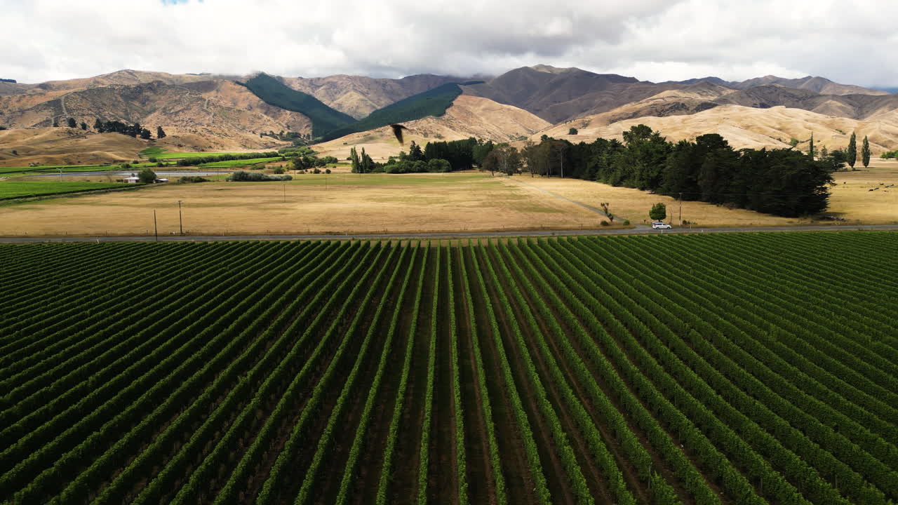 campos de vino en el norte de la isla sur de nueva zelanda con montañas en el fondo