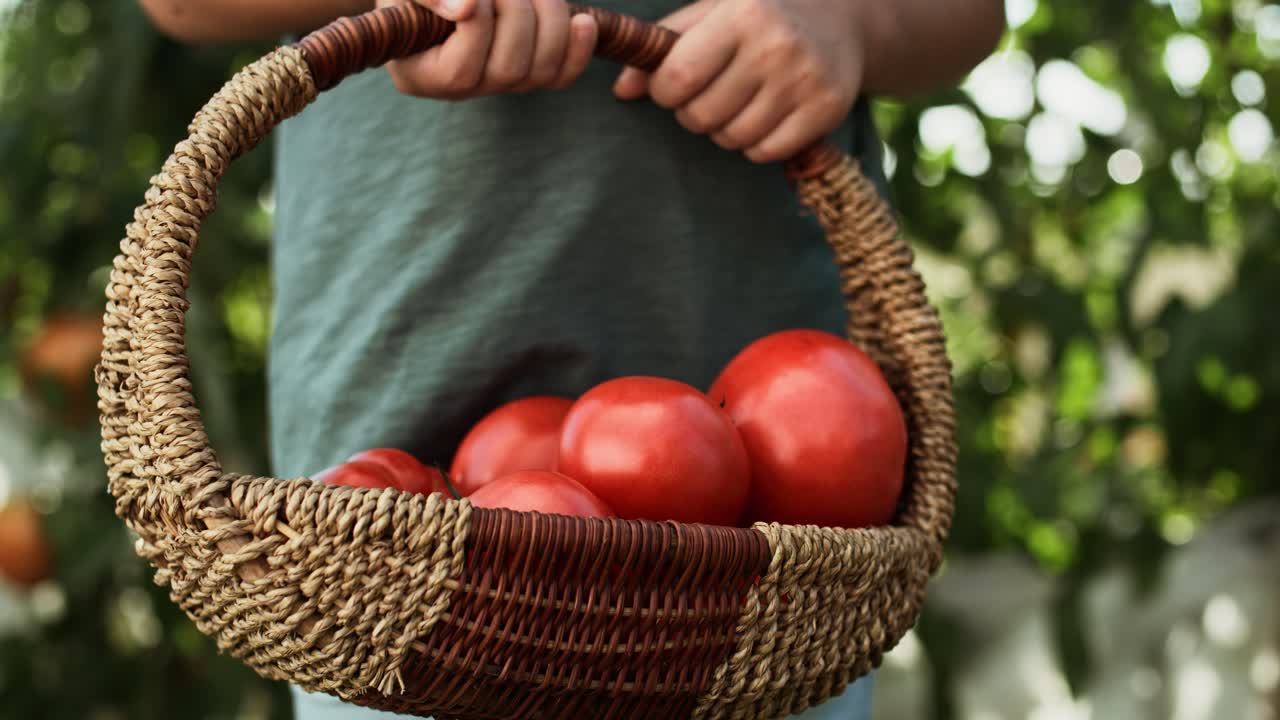 Close up video of full wicker basket with tomatoes