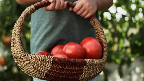 Vídeo-De-Cerca-De-Una-Cesta-De-Mimbre-Llena-Con-Tomates