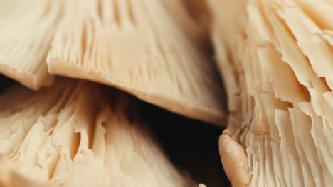 close-up of stacked mushrooms