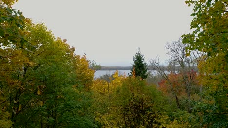Colorful-seasonal-forests-and-bog-lake-in-autumn-time-aerial-footage