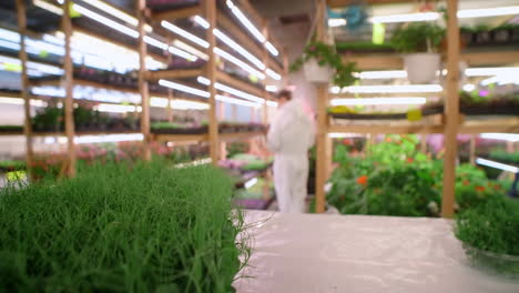 indoor plant growing facility