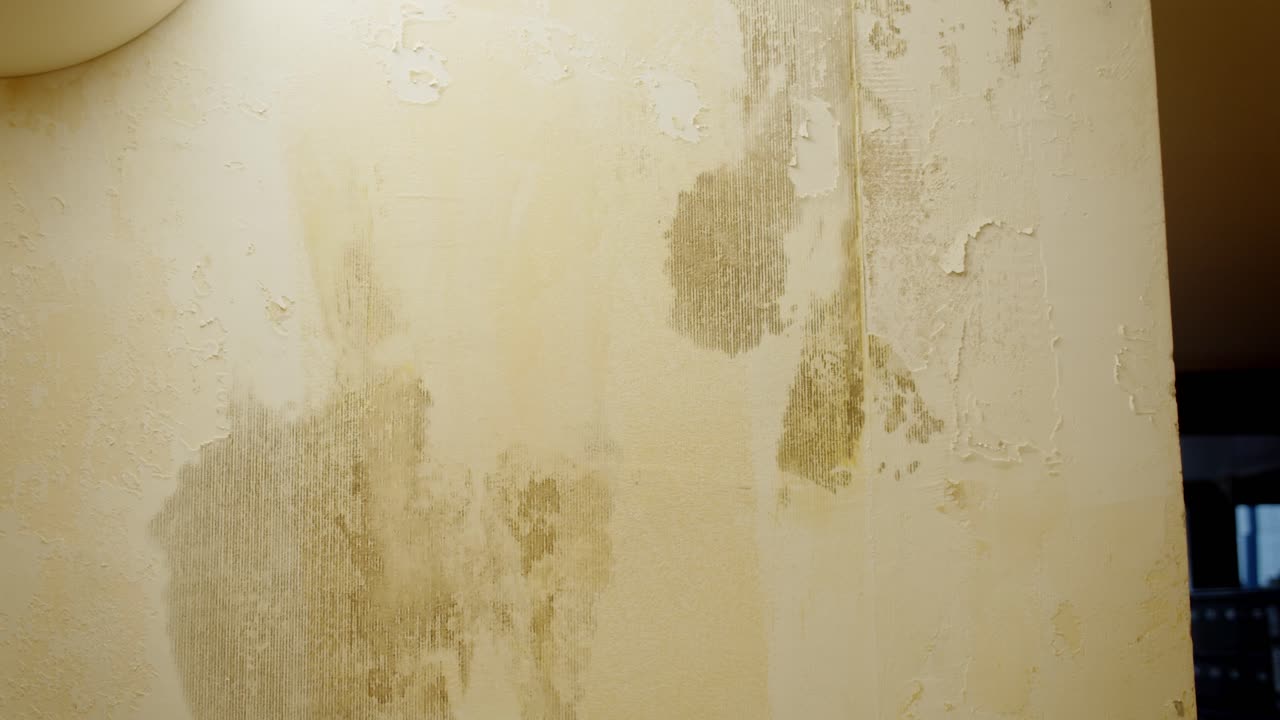 Water Damaged Wall - Repair Needed