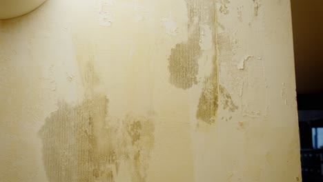 water damaged wall - repair needed