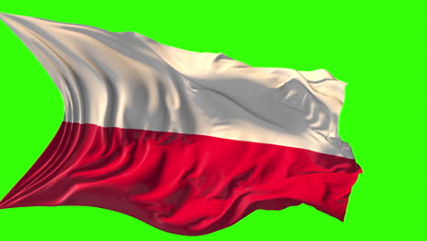 waving polish flag on green screen