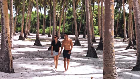 a loving couple walks hand in hand along geiymiskih fannu beach, enveloped by a verdant forest of swaying palm trees.
