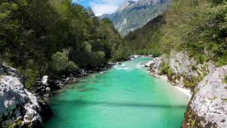 emerald green river with a hanging bridge in a canyon surrounded by forest