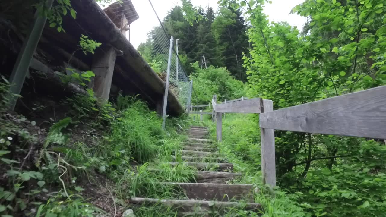 나무 계단이 있는 숲길