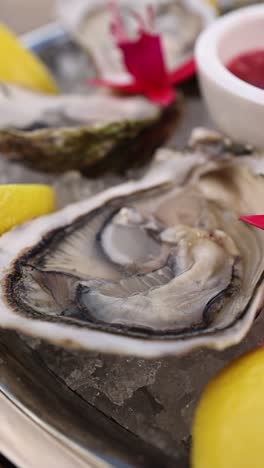 fresh oysters with lemon and red flowers