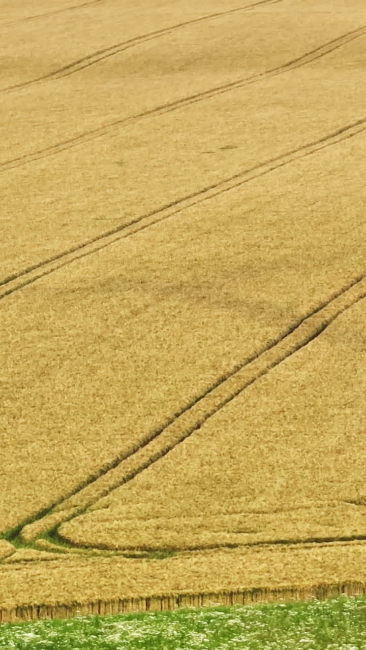 Portrait aerial view of a windmill shadow on a rural field, sunny, summer day