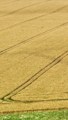portrait aerial view of a windmill shadow on a rural field, sunny, summer day
