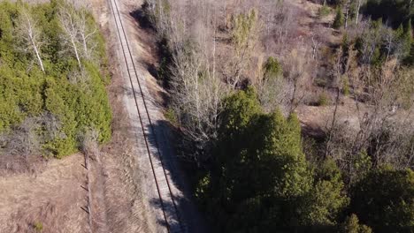 aerial shot of a train line surrounded by forest trees