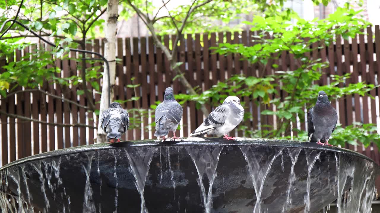 l'ny manhatten의 새