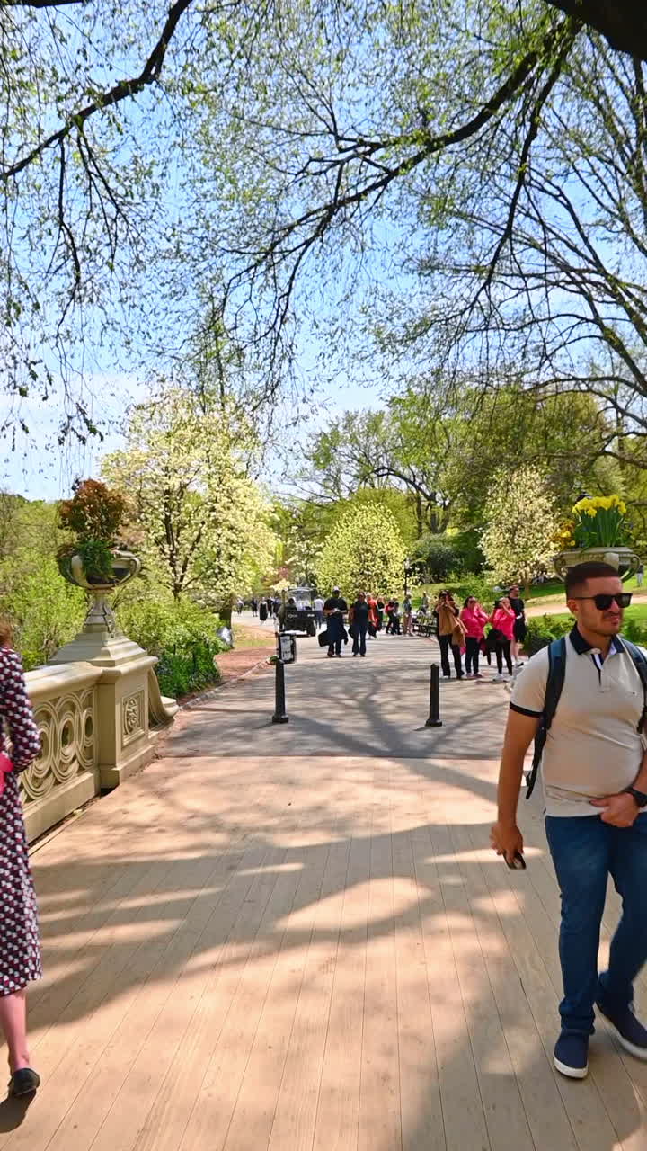 New York, USA, 8 July 2025: Springtime fun at NYC park. People stroll along a tree-lined path in a park, surrounded by blooming flowers and lush greenery on a sunny day