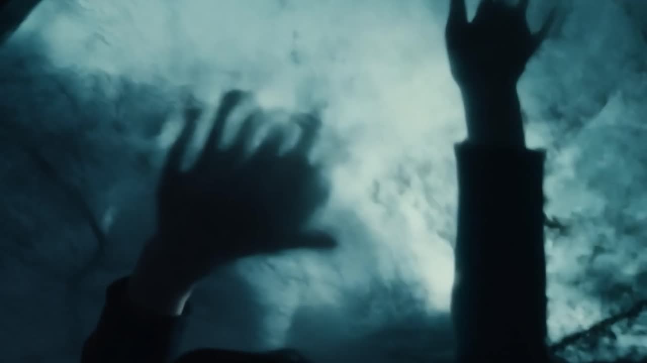 bosque nebuloso con siluetas de árboles