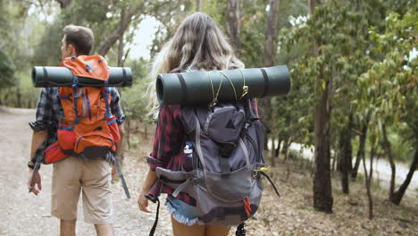 Ein-Paar-Wanderer,-Die-Campingrucksäcke-Durch-Den-Wald-Tragen