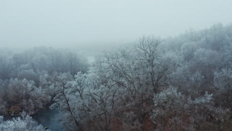 river in the forest in winter. beautiful aerial landscape of white trees during the winter frost. aerial view.