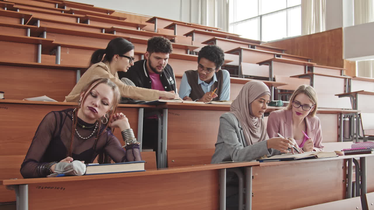 Diverse Students Communicating during Lesson