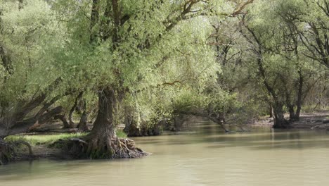 Naturschutzgebiet-Donaudelta