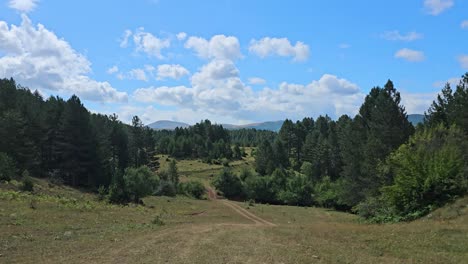 Amanecer-En-Un-Hermoso-Bosque-Con-Pinos-Y-Colinas-Con-Prados,-Nubes-Moviéndose-Sobre-Un-Paisaje-Verde,-Camino-Rural