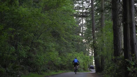 man riding bicycle in quiet road in the center of a forest in washinton, usa - wide shot