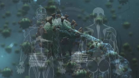animación de células humanas digitales sobre células de virus