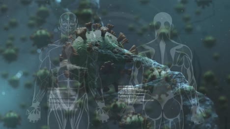 animation of digital human over virus cells