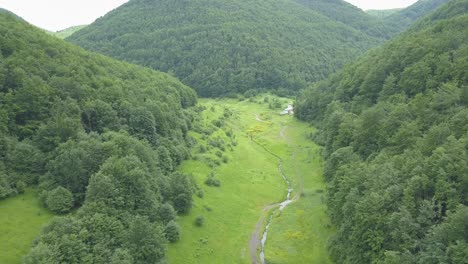 Borov-Kamak,-Vratsa,-Bulgaria,-Arroyo-En-El-Bosque