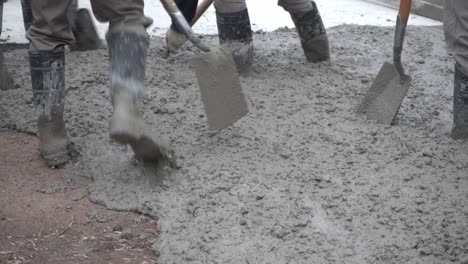 a group of workers with shovels work with their feet on wet concrete paving a road