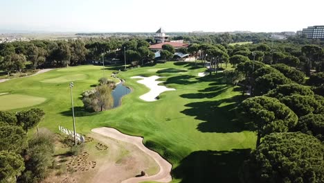 beautiful gold field landscape in high angle aerial drone shot