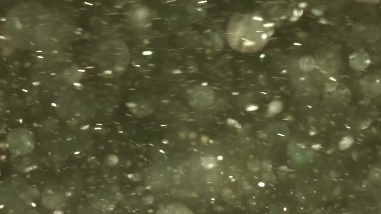 Partículas flotantes etéreas con efecto de luz bokeh