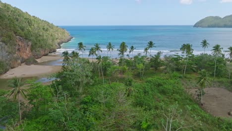 Toma-Lateral-Aérea-De-Playa-Tropical-Con-Palmeras-Y-Mar-Caribe-De-Fondo---Playa-El-Valle,-Samana