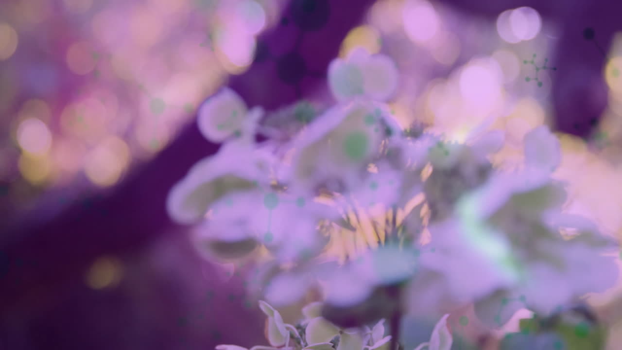 Blooming flowers with pastel colors and animation of abstract light effects