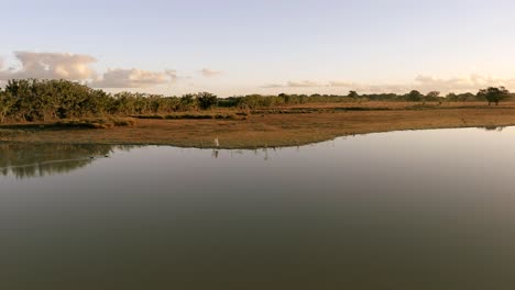 drone volando sobre las tranquilas aguas de la laguna de altagracia, higüey en república dominicana