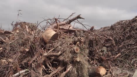 Pila-De-Madera,-Reciclaje-De-Residuos-De-Madera,-Sostenibilidad