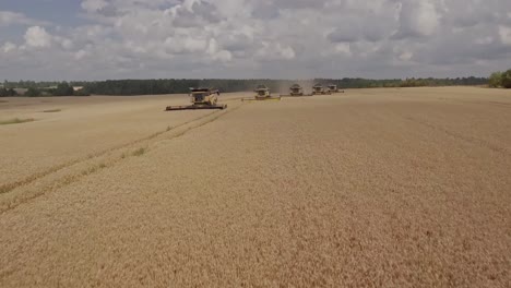 Toma-Cinematográfica-De-Un-Grupo-De-Cosechadoras-En-Un-Campo-De-Trigo-Dorado-Durante-La-Temporada-De-Cosecha