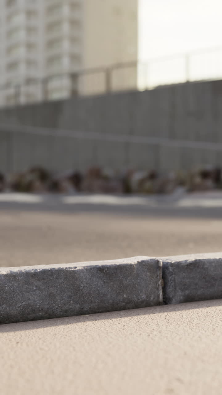 모래 해변 근처에 주차