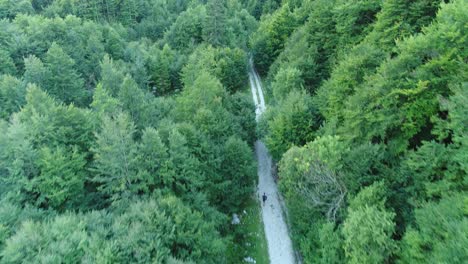 Drohnenaufnahme-Einer-Person,-Die-Einen-Waldweg-Auf-Einem-Berg-Entlang-Geht,-4k-Uhd