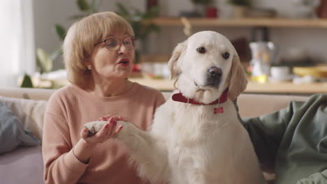 cheerful elderly couple petting cute dog on sofa