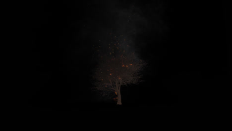 burning tree at night
